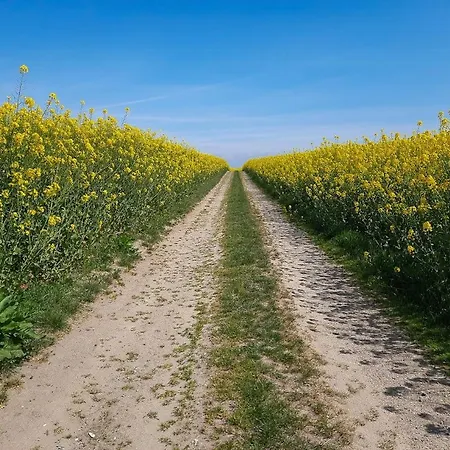 Timber-framed Idyll With Views Of The Fields בית נופש *