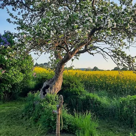 Timber-framed Idyll With Views Of The Fields