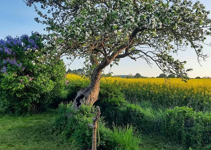 Timber-framed Idyll With Views Of The Fields *
