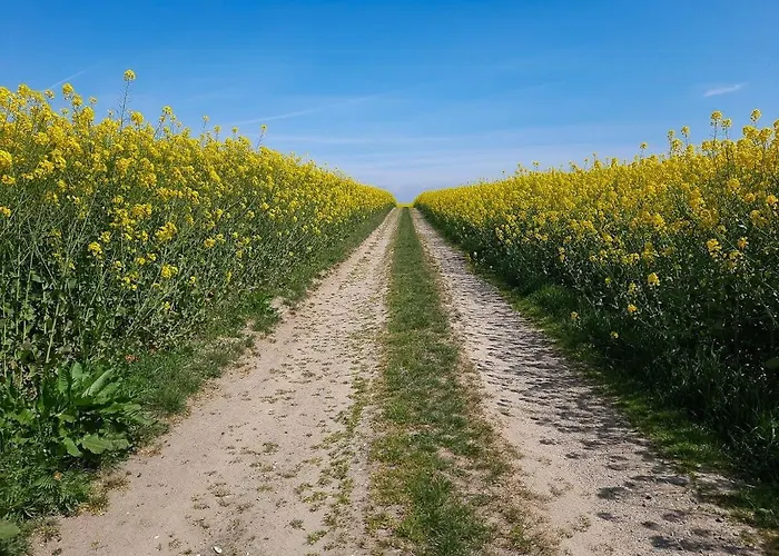 Timber-framed Idyll With Views Of The Fields * Nordenbro Vesteregn